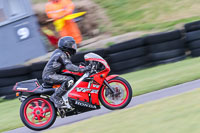 PJ-Motorsport-2019;anglesey-no-limits-trackday;anglesey-photographs;anglesey-trackday-photographs;enduro-digital-images;event-digital-images;eventdigitalimages;no-limits-trackdays;peter-wileman-photography;racing-digital-images;trac-mon;trackday-digital-images;trackday-photos;ty-croes